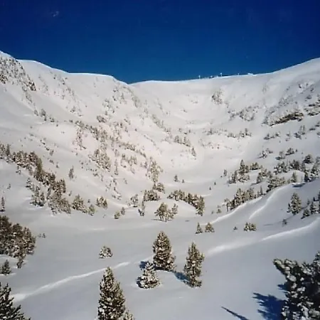 Les Cytises * Chamrousse